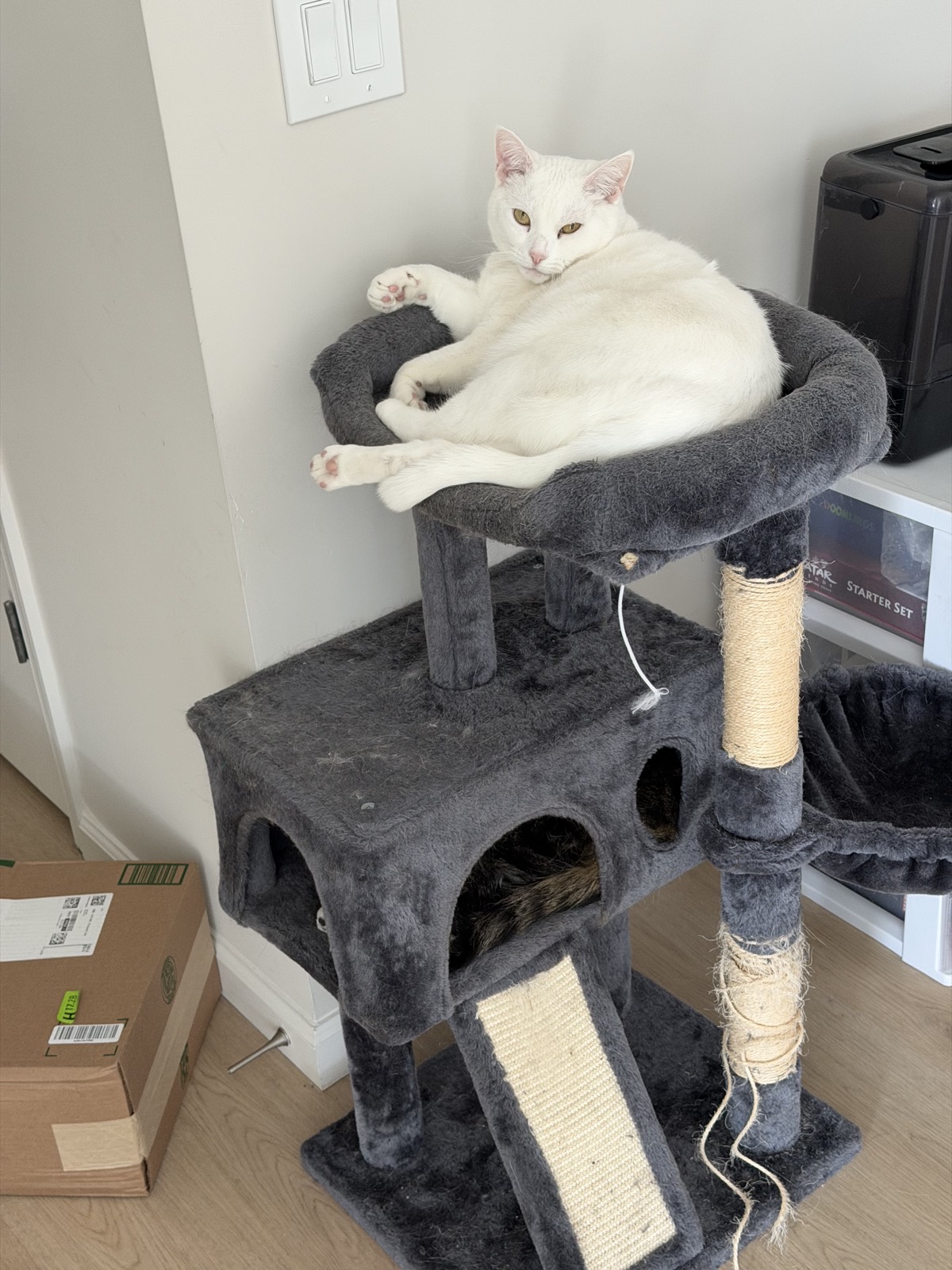 download 3 3 — local Codex photo